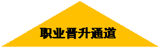 流程图:摘录:职业晋升通道

