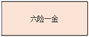 文本框:六险一金
